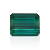 Gemma con Tormalina Verde 11,08 ct