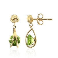 Orecchini in argento con Peridoto