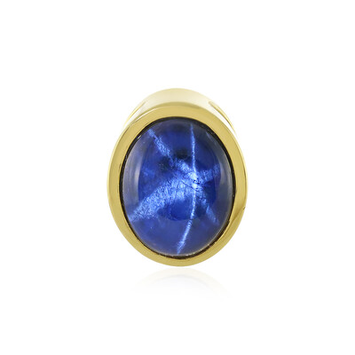 Ciondolo in argento con Zaffiro Stellato Blu (MONOSONO COLLECTION)