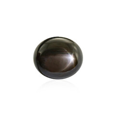 Gemma con Zaffiro Stellato Nero 13,32 ct