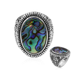 Anello in argento con Conchiglia Abalone (Art of Nature)