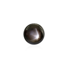 Gemma con Zaffiro Stellato Nero 4.5 ct