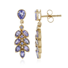 Orecchini in argento con Tanzanite